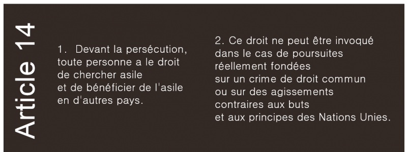 article 14 de la déclaration universelle des droits de l'homme